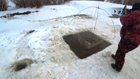 Рыбалка в Сибири. Морозы нам не помеха. смотреть онлайн