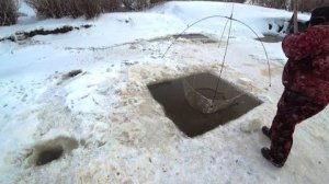 Рыбалка в Сибири. Морозы нам не помеха.