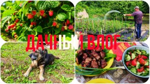 ЧЕМ ЗАНЯТЬСЯ ВЕЧЕРОМ В ДЕРЕВНЕ 🤗☝️ ДАЧНЫЙ ВЛОГ 🏡