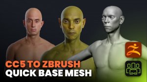 Анатомия силуэта: Создаем безупречный фундамент персонажа для ZBrush в Character Creator 5