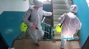 Как дезинфицируют подъезды в Ганцевичах