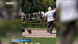 В Кисловодске у фотографа отобрали краснокнижных орлов