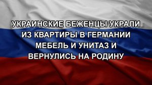 Украинские беженцы украли из квартиры в Германии мебель и унитаз и вернулись на родину