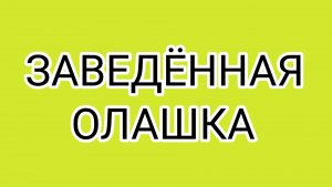Кто смотрит видео ГРЯЗНУЛИ?!