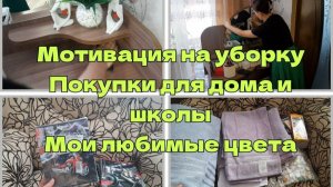 Мотивация на уборку.Покупки OZON и WB.
