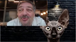 Я вас предупредил! Либерадрильная поэзия! / Кот Костян
