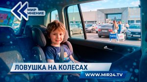 Смертельная ловушка. Почему оставлять ребенка в машине в жару опасно?
