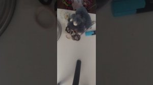 Собираюсь на прогулку