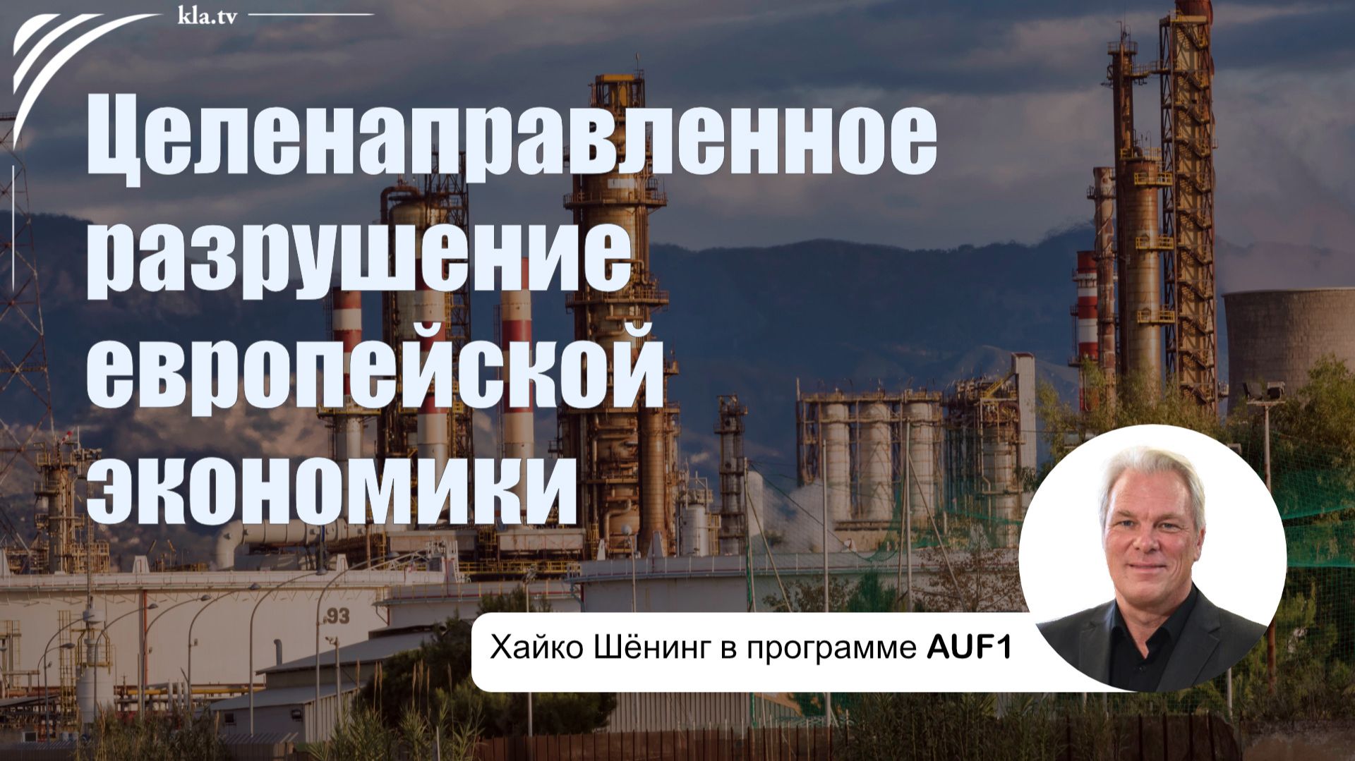 Так целенаправленно разрушают нашу экономику – «Это план!» Хайко Шёнинг в программе AUF1