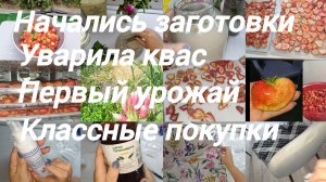 НАЧАЛО ПОЛОЖЕНО. ПЕРВЫЙ УРОЖАЙ. КЛАССНЫЕ ПОКУПКИ С ВК СООБЩЕСТВА.