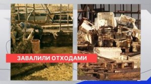 Линдовская птицефабрика доведена до плачевного состояния в условиях острого конфликта