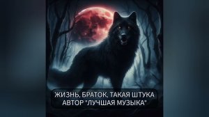 ЖИЗНЬ, БРАТОК, ТАКАЯ ШТУКА!АВТОР «ЛУЧШАЯ МУЗЫКА»