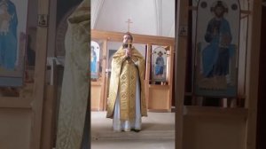 Проповедь иерея Павла Каледы в день памяти свт. Феофана Затворника