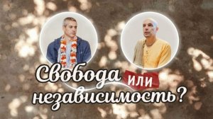 25.06.2026 «Свобода или независимость» ШБ 4.28.52 с Нитьянанда Чараном прабху, Yoga Village