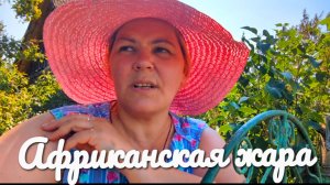 Как я спасаюсь от жары.«Жизнь в деревне»