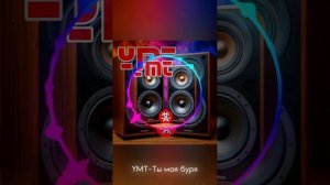 YMT-Ты моя буря