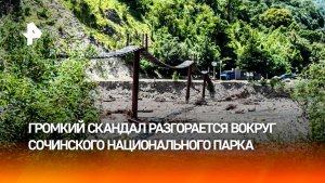 Древние захоронения уничтожены при строительстве дороги в сочинском заповеднике