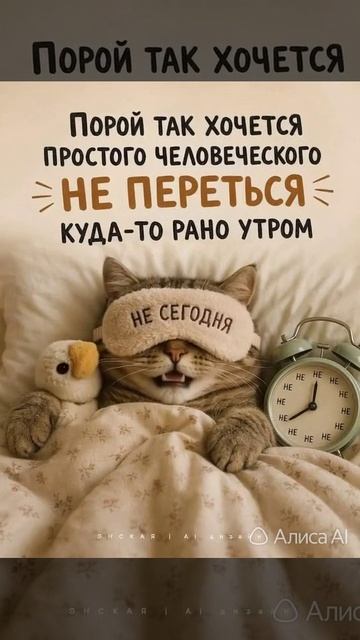 доброе утро