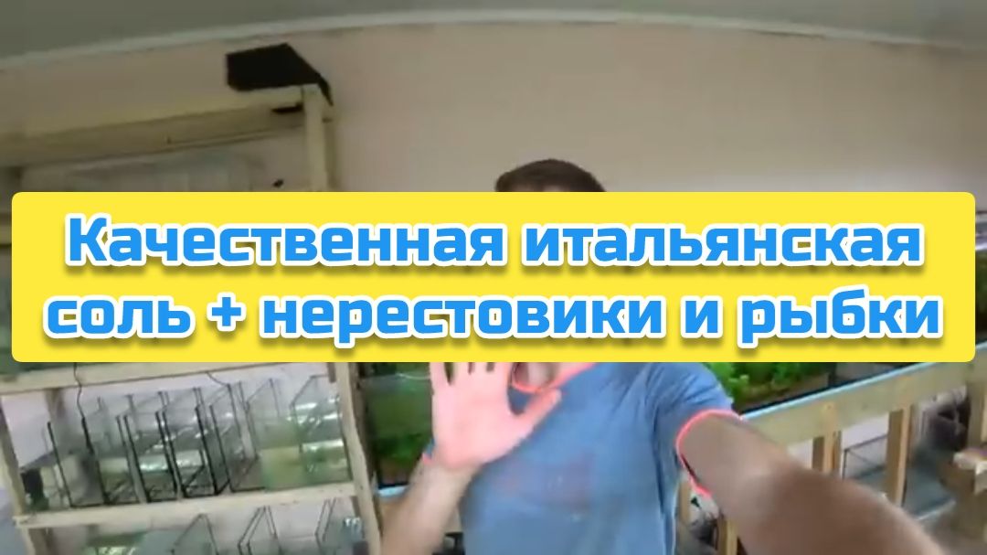 Качественная итальянская соль + нерестовики и рыбки