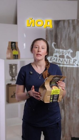 Какие компоненты должны быть в составе корма для кошек и собак