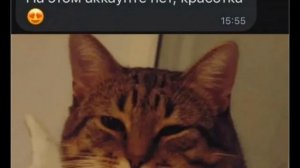 начинаю делать мемы