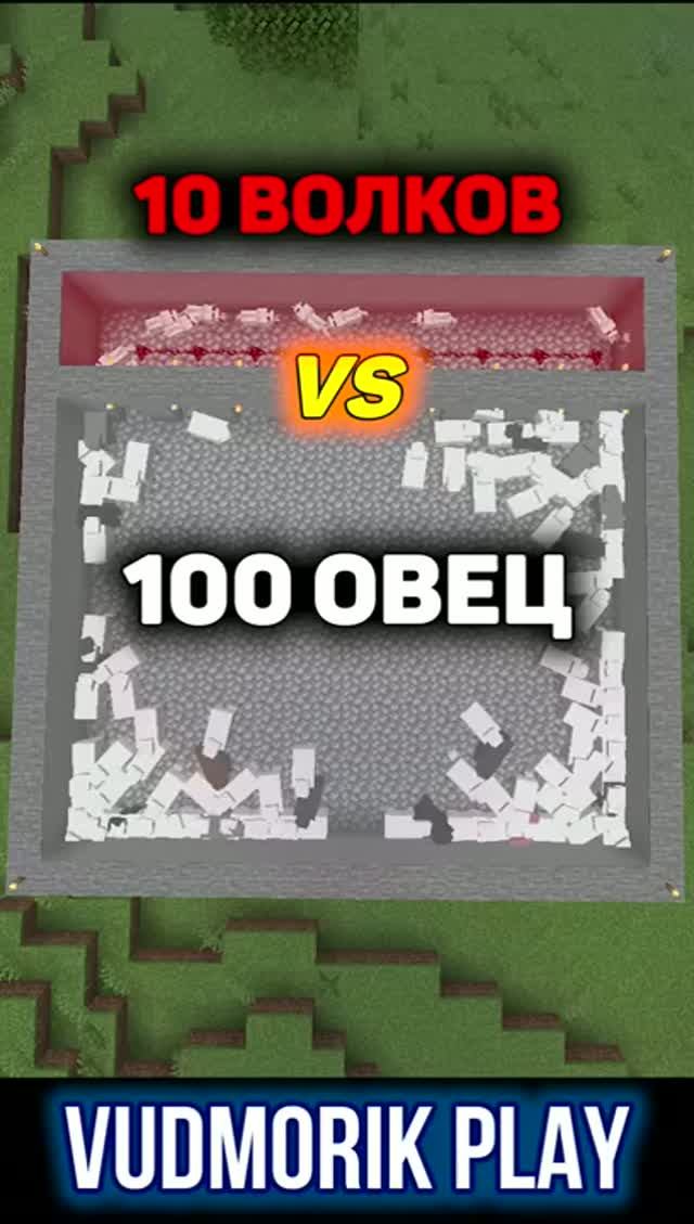 100 Овец против 10 Волков в Minecraft #15