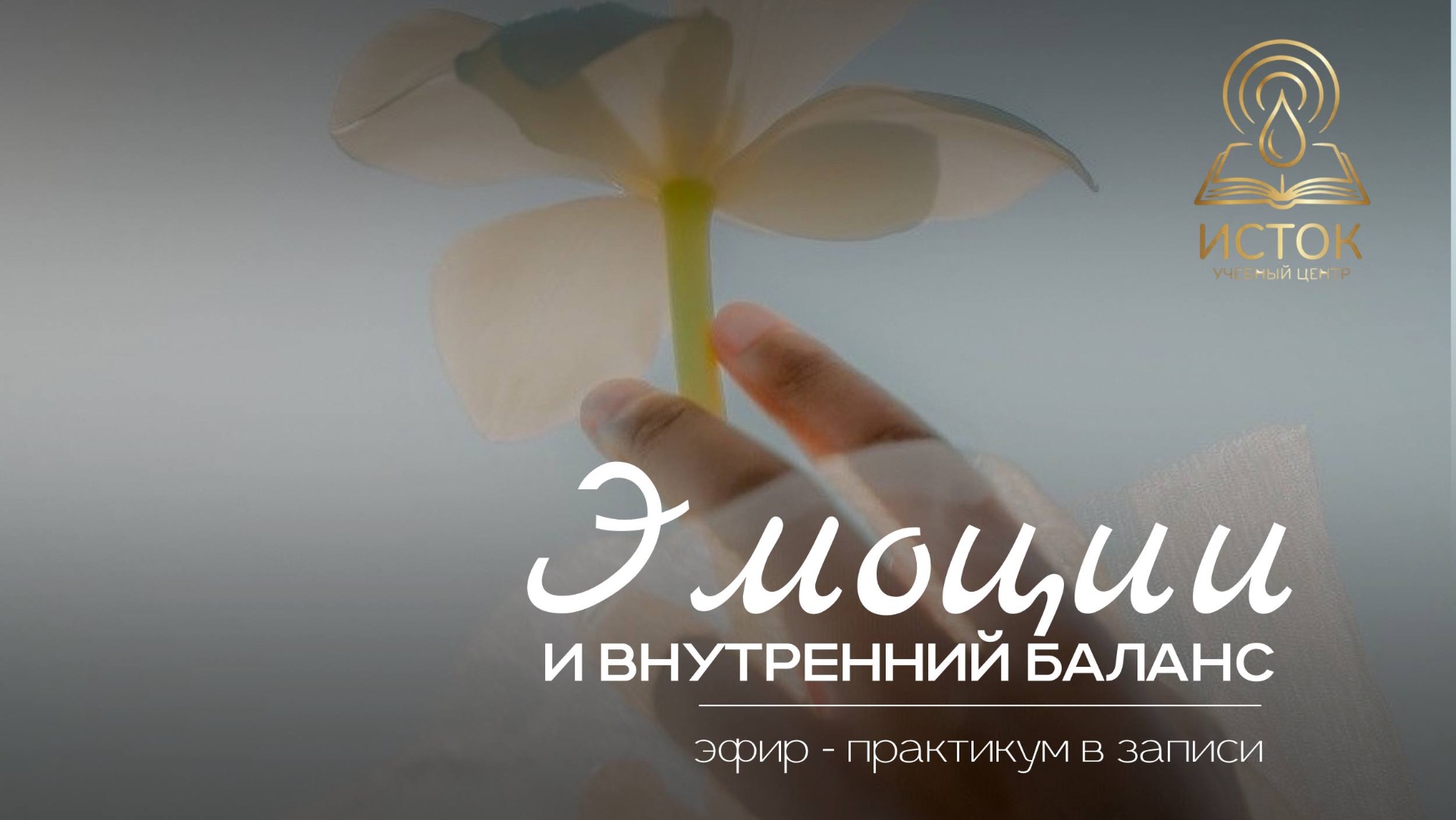 Эмоции и внутренний баланс смотреть онлайн