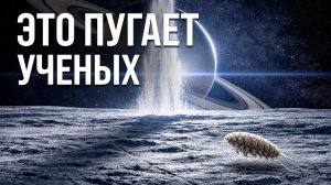Самые странные формы жизни, найденные в космосе. Почему NASA об этом молчит?