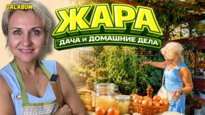 Как Мы Переживаем Жару в Германии: Домашние Дела, Дача и Жизнь без Прикрас