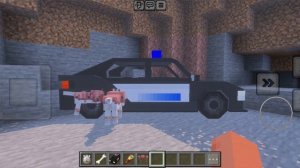 ДВЕ ПОЛИЦЕЙСКИЕ МАШИНЫ И СОБАКИ ПРОВАЛИЛИСЬ ПОД ЗЕМЛЮ