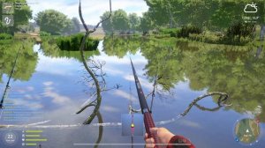 Russian Fishing 4 290 серия река северский донец 87 серы