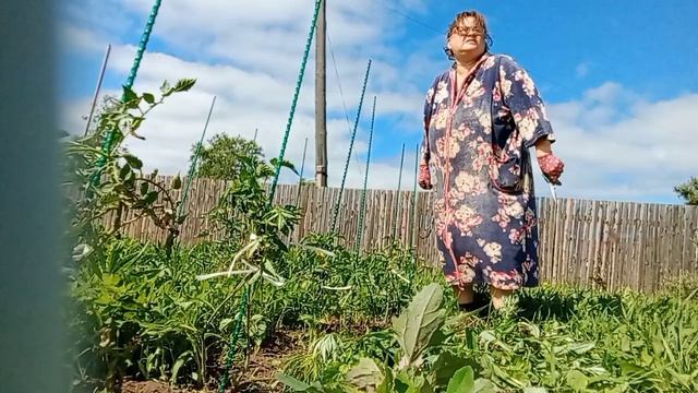 Они уже взрослые. 🍅 Яи их подвязала. Жизнь в деревне. смотреть онлайн