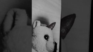 lv_0_20260627170811.mp4сса
