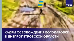 Кадры освобождения Богодаровки в Днепропетровской области
