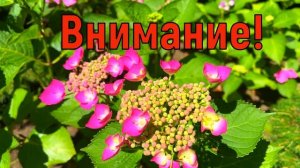 30 июня День Мануйло и Савелия. Солнцестой. Что нельзя делать 30 июня. Народные приметы и традиции