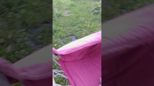 Я пришёл гулять