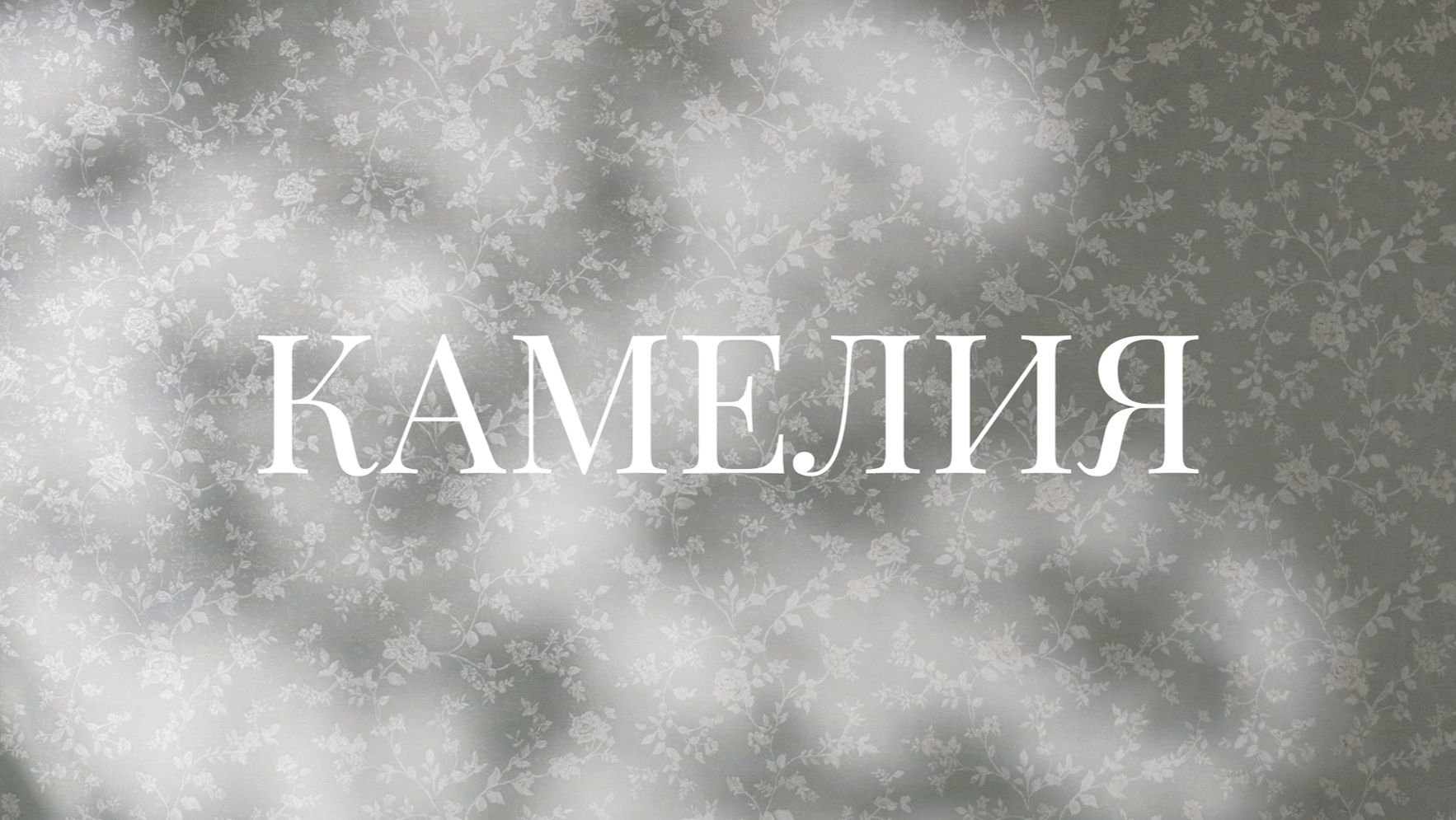 Коллекция КАМЕЛИЯ смотреть онлайн