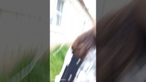 котик