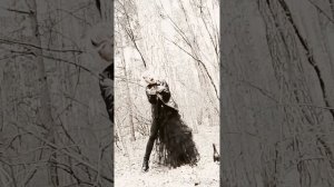Любовь, смерть, снова любовь