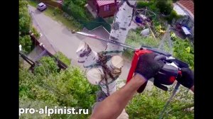 Арбористика. Аккуратное удаление дерева.