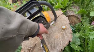 Бензопила за 4500 рублей провёл тестдрайв обзор