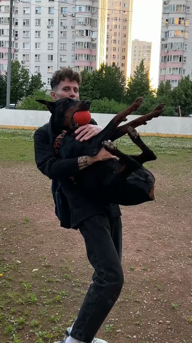 СОВСЕМ ОБАЛДЕЛИ 😡
