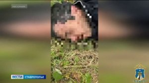 На Ставрополье задержан мужчина с крупной партией синтетических наркотиков