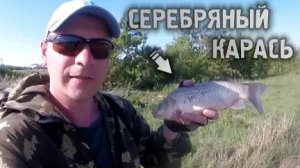 Ловля серебряного карася Рыбалка в городе на фидер-донку