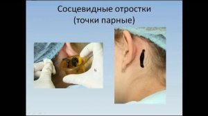 Традиционные методы лечения в комплексном лечении терапевтических заболеваний