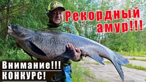 БОЛЬШОЙ РОЗЫГРЫШ И ТРОФЕЙНАЯ ПОДВОДНАЯ ОХОТА! ТРОФЕЙНЫЙ ЧЁРНЫЙ АМУР! РУЖЬЁ, ФОНАРИ И МНОГОЕ ДРУГОЕ!