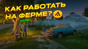 КАК ЗАРАБАТЫВАТЬ НА ФЕРМЕ В АМАЗИНГ ОНЛАЙН? l ГАЙД ФЕРМА l ДЛЯ НОВИЧКОВ l AMAZING RP