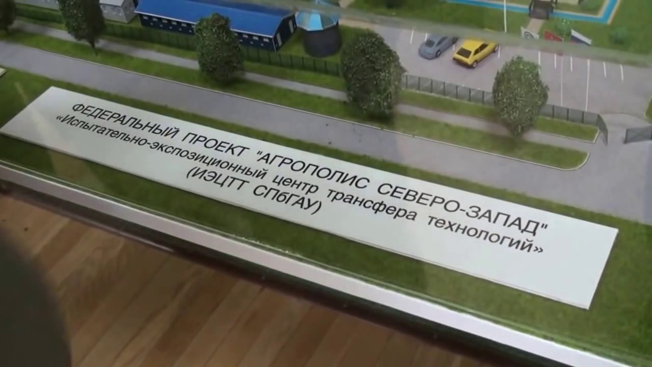 Кабинет ректора СПбГАУ смотреть онлайн