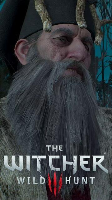 У ЧУДОВИЩ ВЫХОДНОЙ. Геральт и Мышовур о солнечном камне. The Witcher 3 - Wild Hunt #shorts
