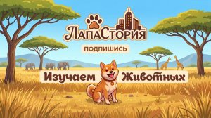 Детские мультики про животных - Изучаем зверей